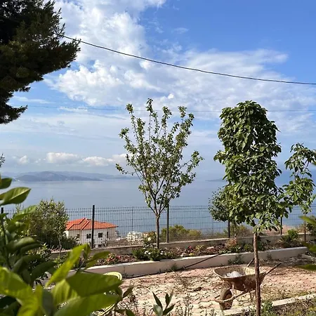 Skynest Sarande